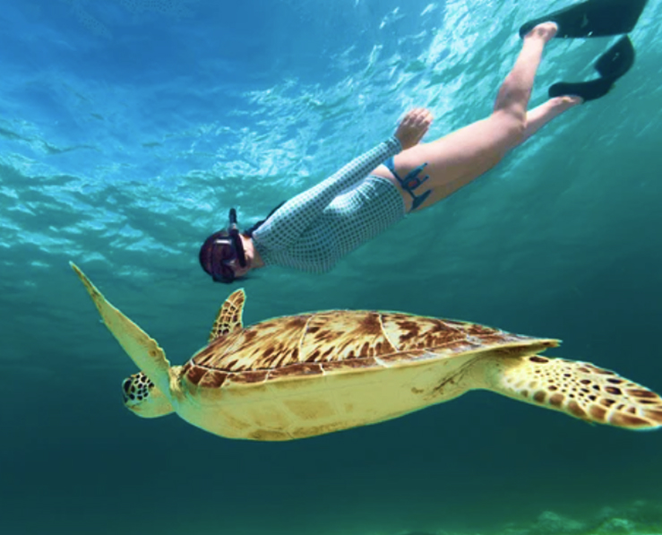 Dive into a World of Water Experiences